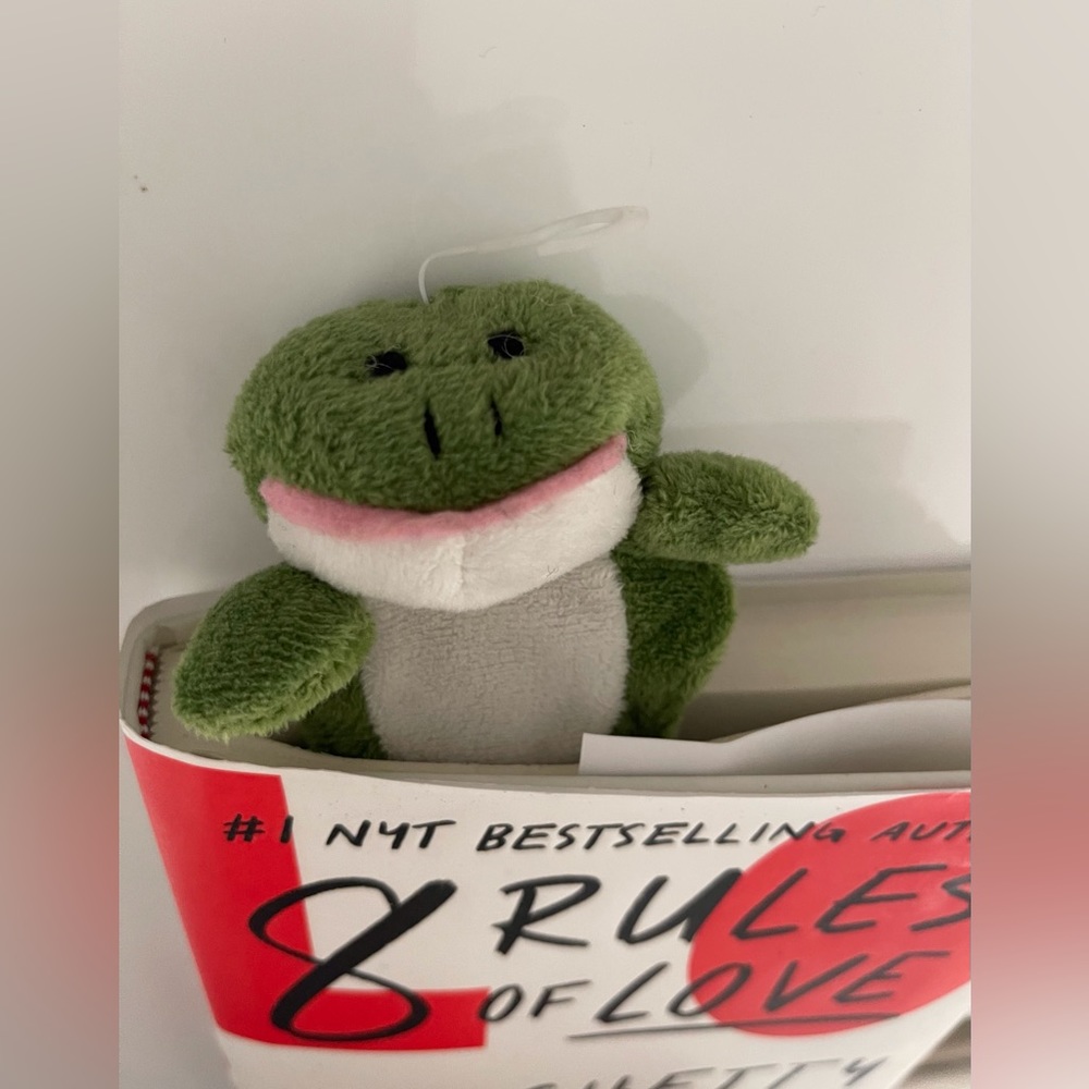 GANZ page pals soft bookmark